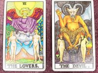 聊塔羅牌之波斯貓戀上魚