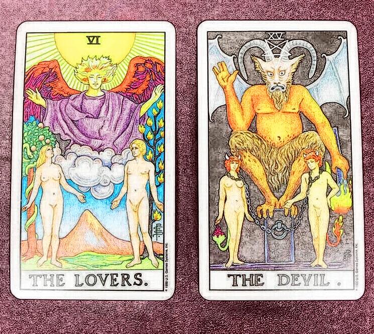 聊塔羅牌之波斯貓戀上魚