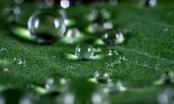 透過塔羅牌占卜挑選適合的醫生